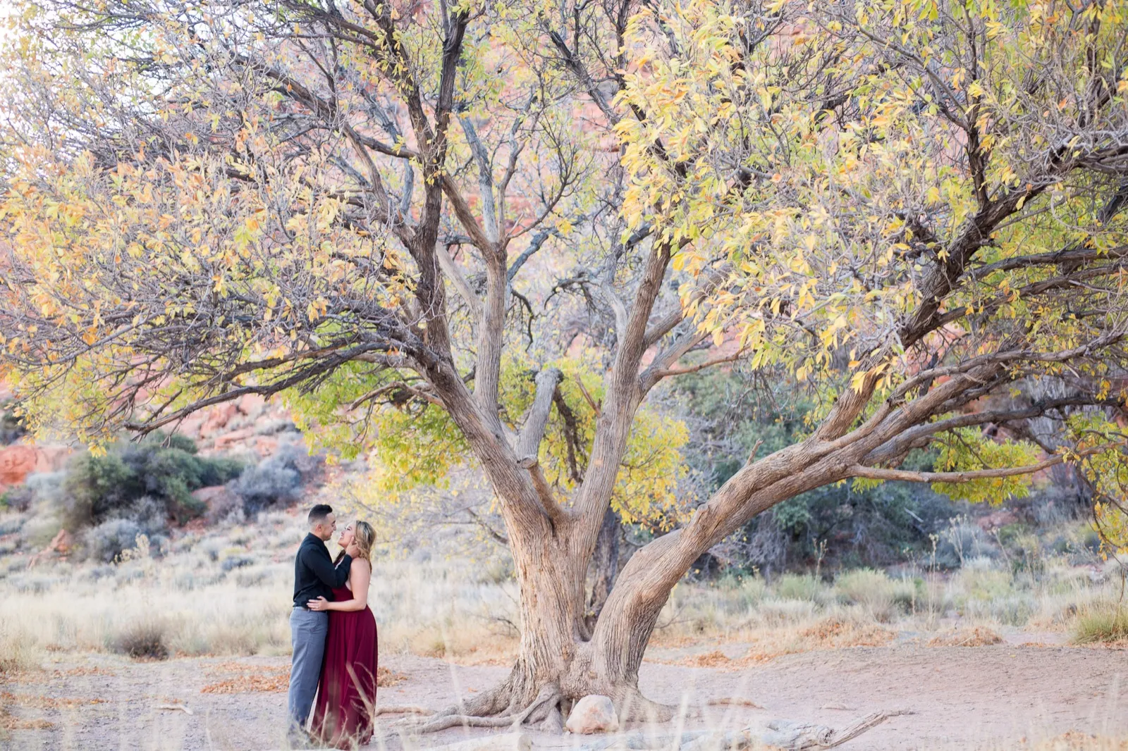Couple standing under a wide desert tree with its leaves turning yellow, red rock showing through the branches