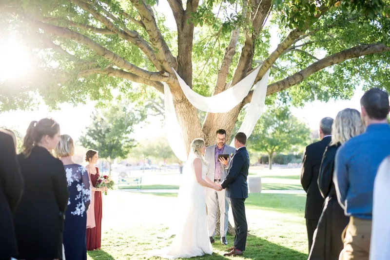 The ceremony under an enormous shade tree with a white drape hung through its branches, guests standing along the aisle