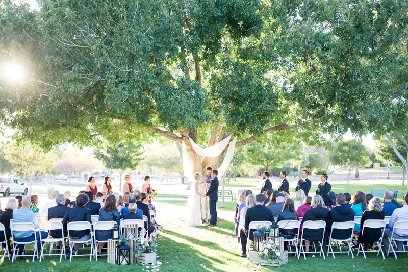 Wide view of the ceremony on the park lawn, the couple holding hands under the draped tree with the wedding party in a line behind them and guests seated in white folding chairs