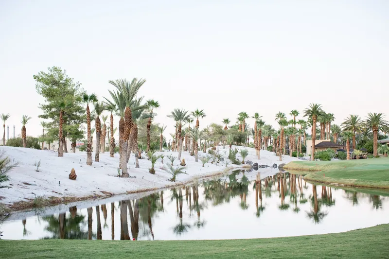 A row of palms mirrored in the still water of the lake beside the fairway