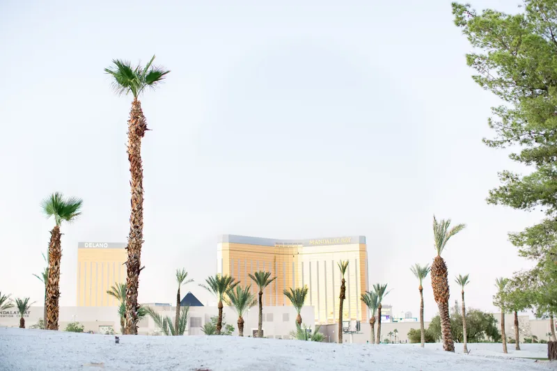 Las Vegas wedding and engagement photography by McKenzie Stewart, portfolio photo 42