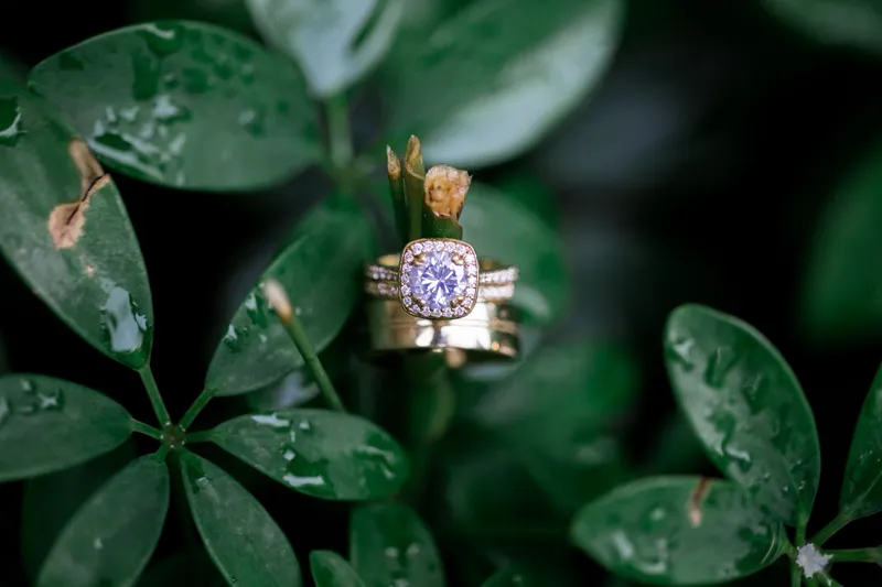 Las Vegas wedding and engagement photography by McKenzie Stewart, portfolio photo 265