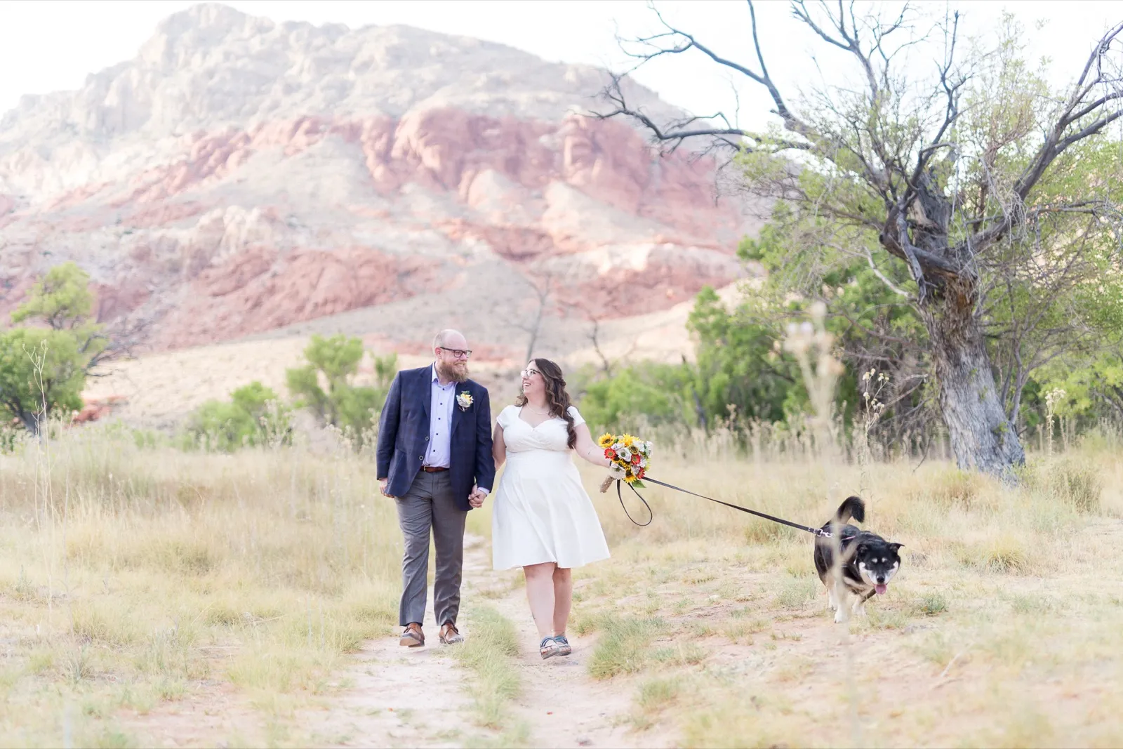 Bride and groom walking a sandy trail with their dog on a leash, red and cream cliffs rising behind them