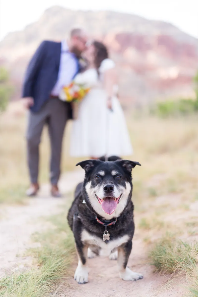 Bride and groom holding each other close with her sunflower bouquet raised beside them