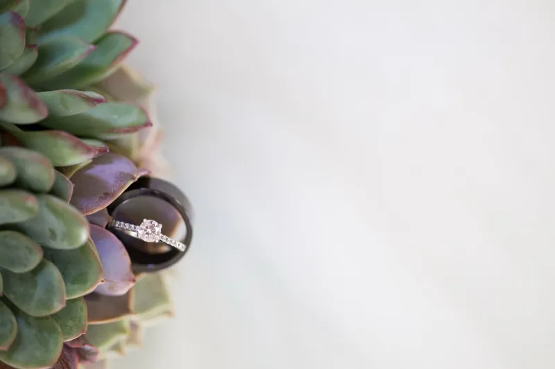 Las Vegas wedding and engagement photography by McKenzie Stewart, portfolio photo 98