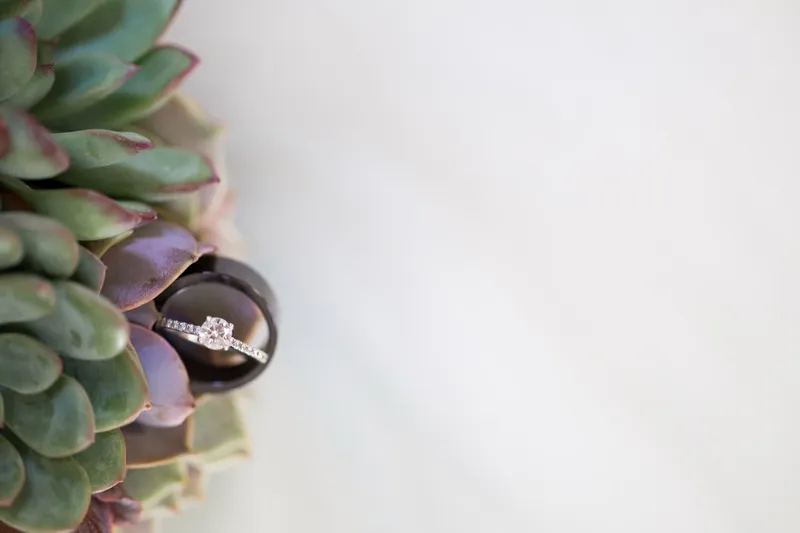 Wedding rings set among pale green succulents