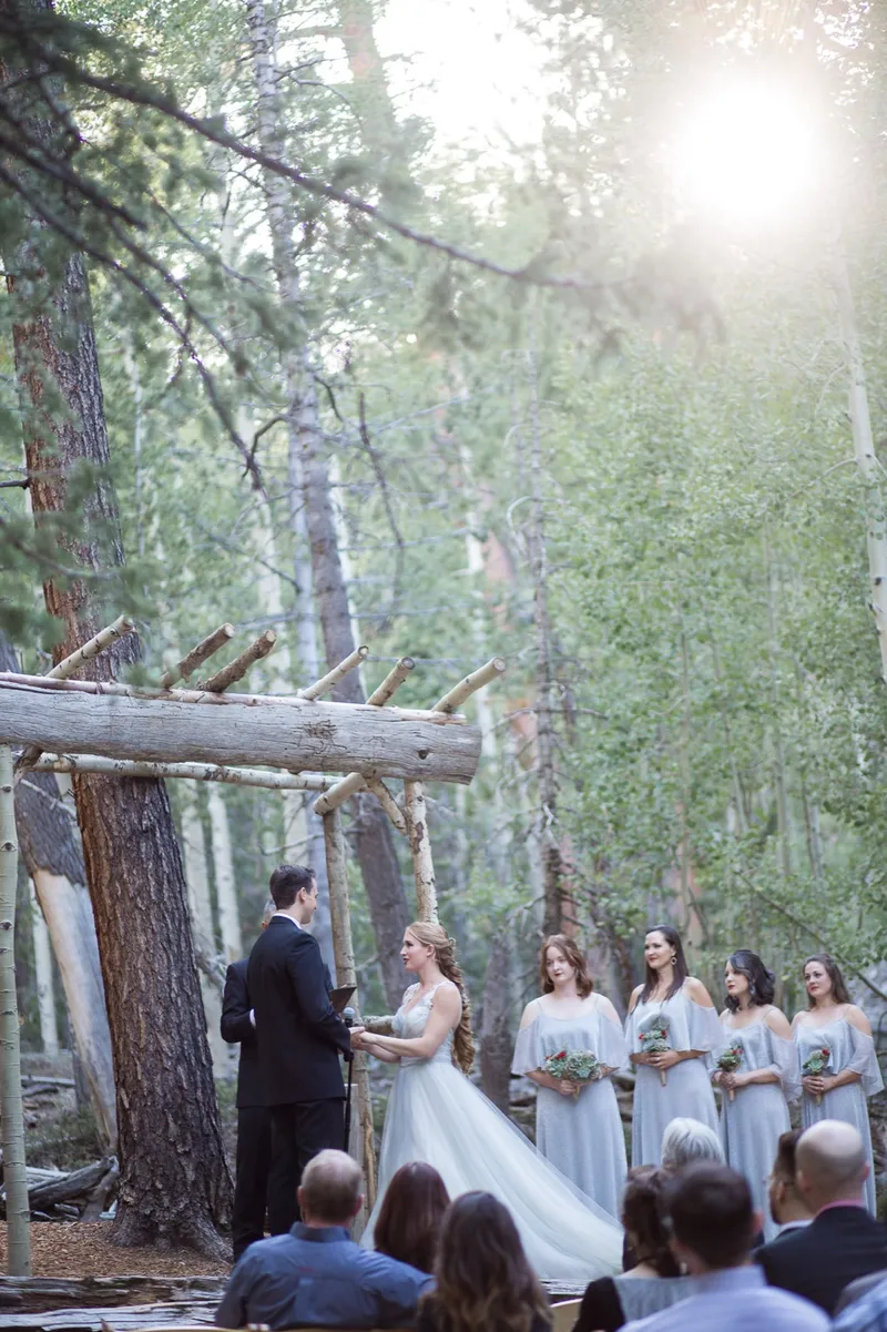 Bride and groom at the log arch with their wedding party lined up beside them