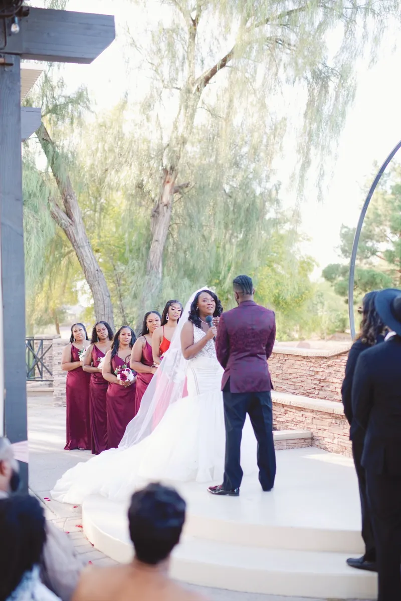Ceremony seen over the heads of the seated guests, the couple small at the end of the petal aisle under the drapes