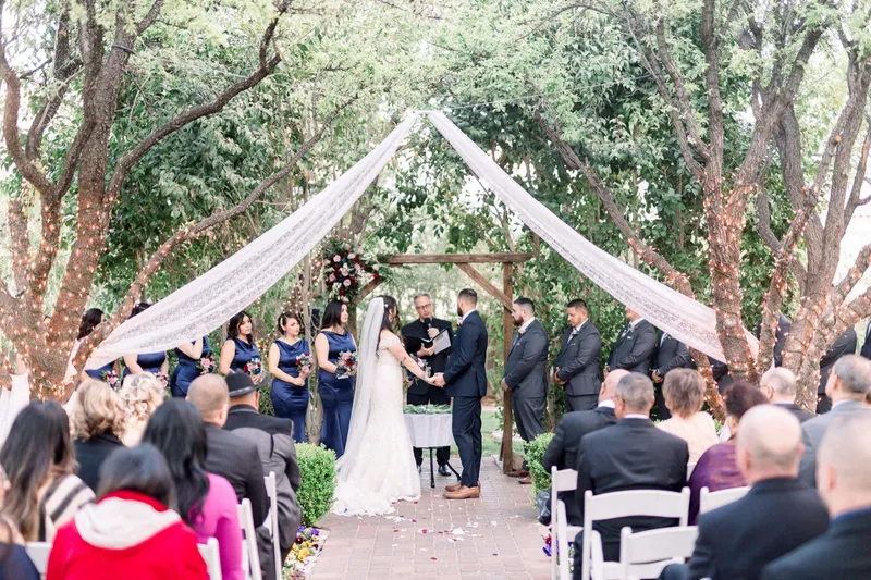 Wide ceremony frame from behind the seated guests, the wedding party lined up under the lace drapes and the trees