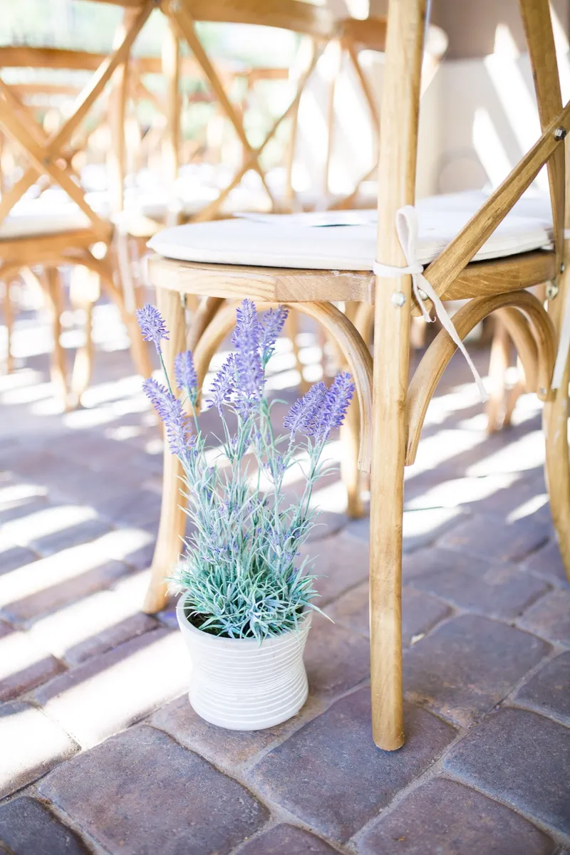 Potted lavender tucked in beside the wooden ceremony chairs on the paver patio