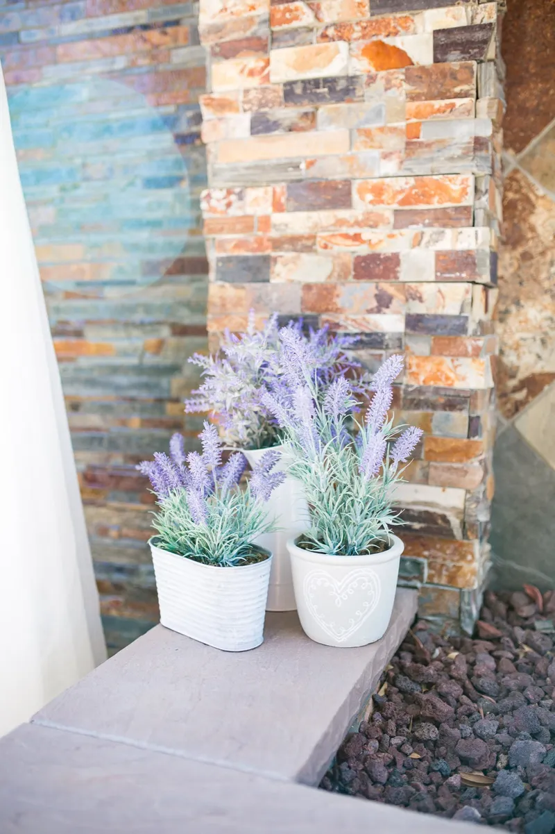 Two white pots of lavender set against the slate wall at the edge of the ceremony space