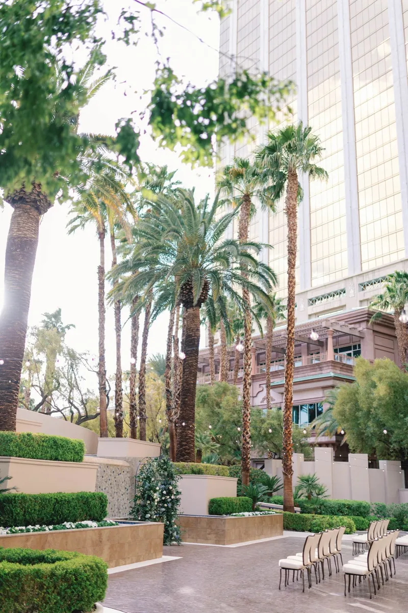 Tall date palms and strings of bulbs over the ceremony patio with the hotel tower behind them