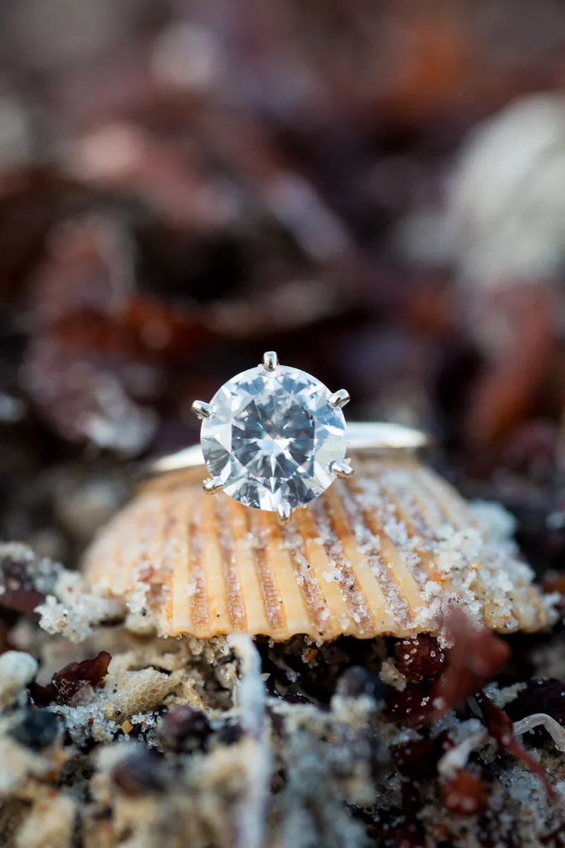 Las Vegas wedding and engagement photography by McKenzie Stewart, portfolio photo 291