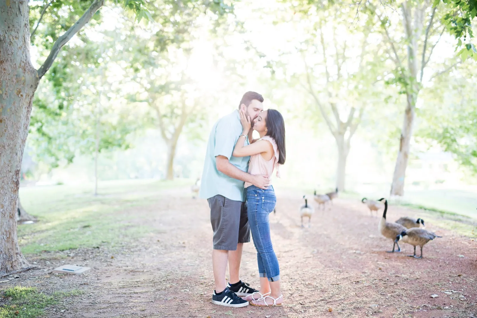 Couple kissing on a shaded dirt path under tall sycamores while a line of Canada geese walks past behind them