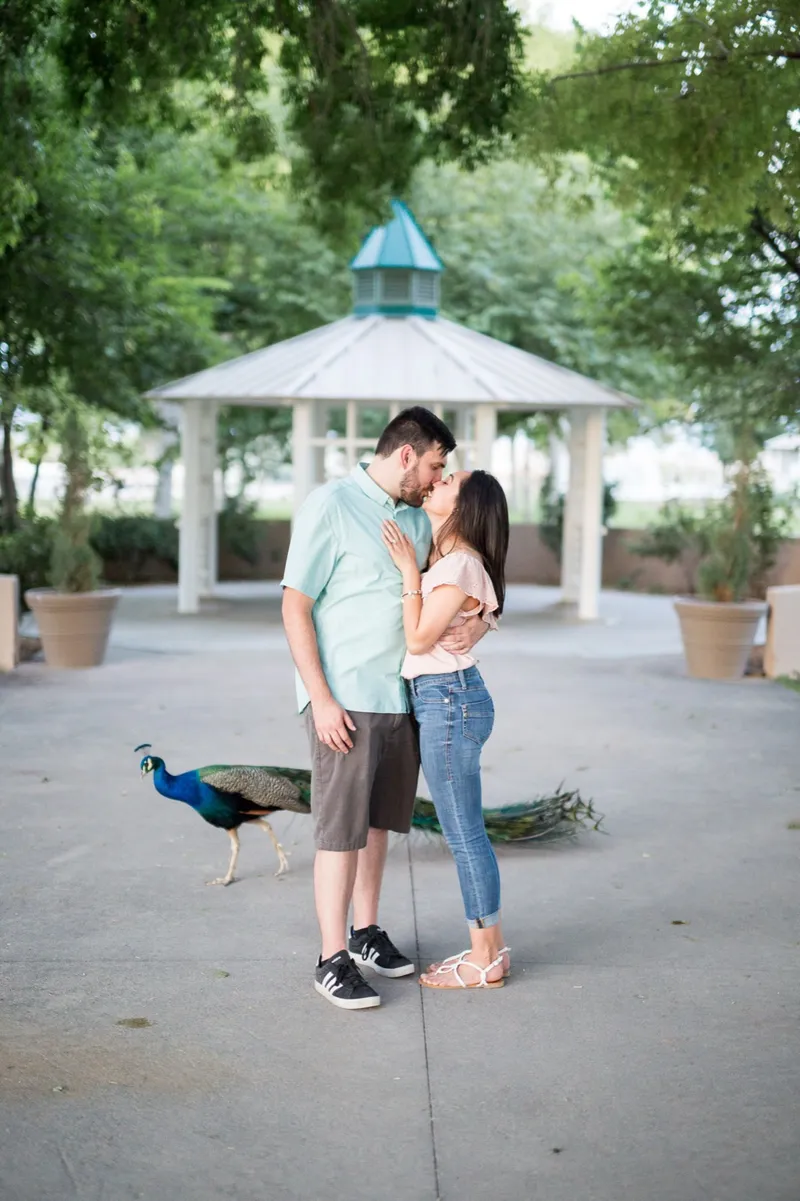 Couple kissing on the path in front of the white gazebo while a peacock walks past with its tail trailing on the ground