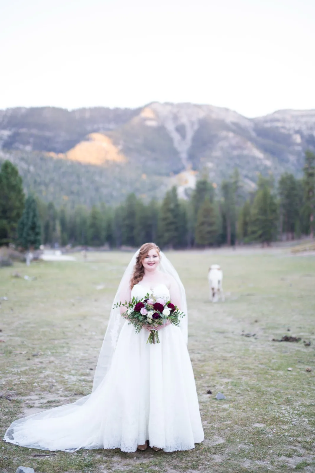 Bride in a long veil alone in a mountain meadow with a wild horse grazing behind her and pines below a rocky ridge